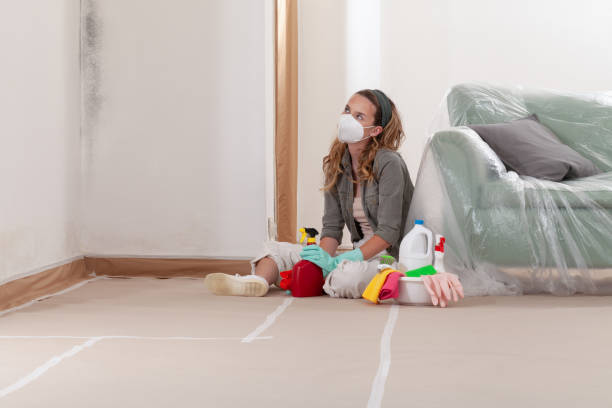 Reliable Mold Inspection contractor in Chatham, NJ by WQB Mold Removal